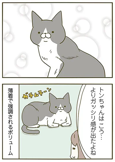 『うちの猫がまた変なことしてる。2』より