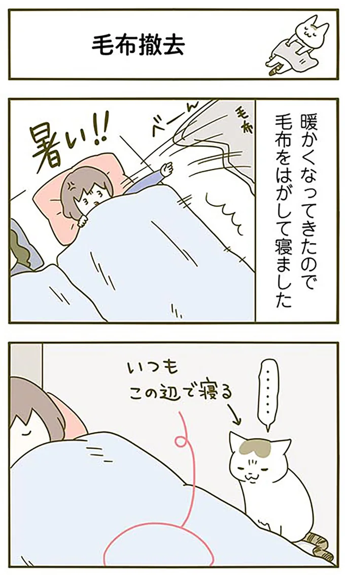『うちの猫がまた変なことしてる。2』より