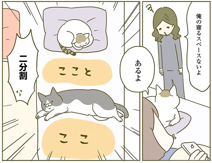 『うちの猫がまた変なことしてる。2』より