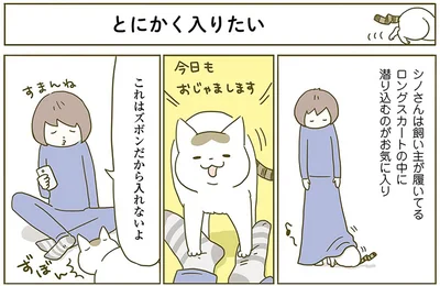 『うちの猫がまた変なことしてる。2』より