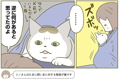 『うちの猫がまた変なことしてる。2』より