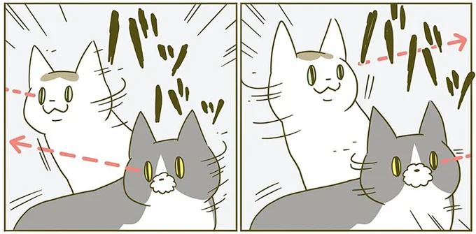 『うちの猫がまた変なことしてる。2』より
