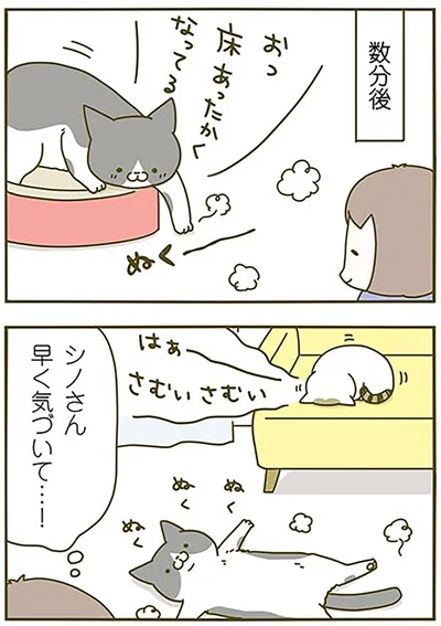 『うちの猫がまた変なことしてる。2』より