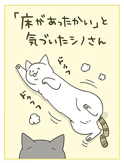 『うちの猫がまた変なことしてる。2』より