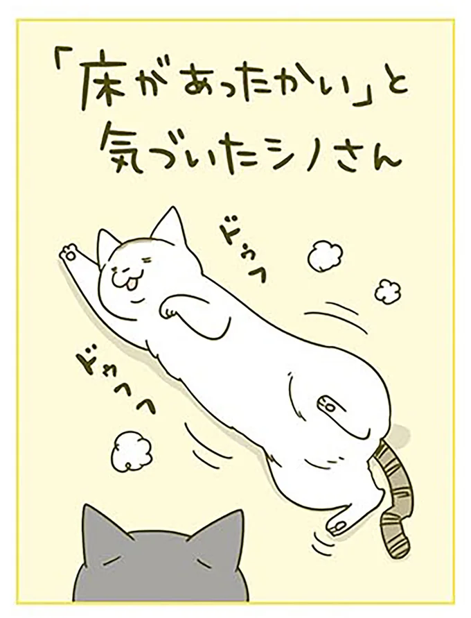 『うちの猫がまた変なことしてる。2』より