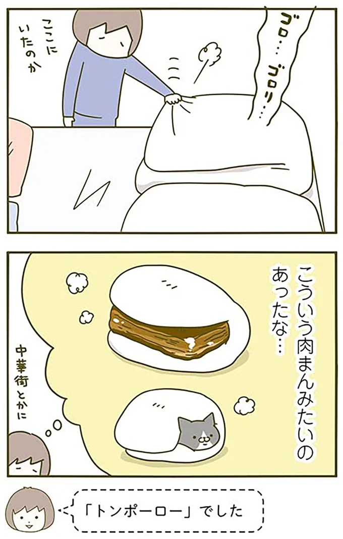 『うちの猫がまた変なことしてる。2』より