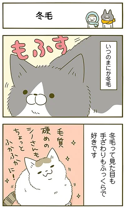 『うちの猫がまた変なことしてる。2』より