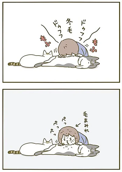 『うちの猫がまた変なことしてる。2』より