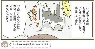 『うちの猫がまた変なことしてる。2』より