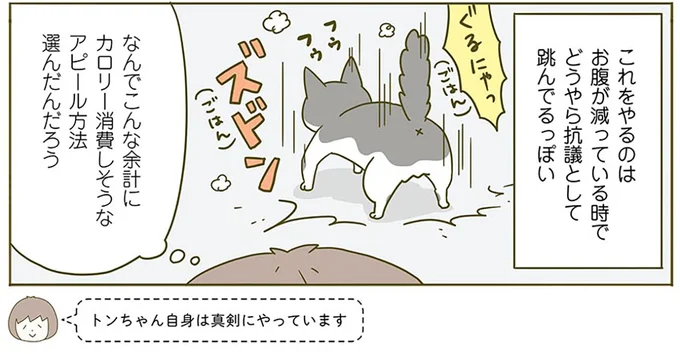 『うちの猫がまた変なことしてる。2』より