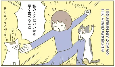 『うちの猫がまた変なことしてる。2』より