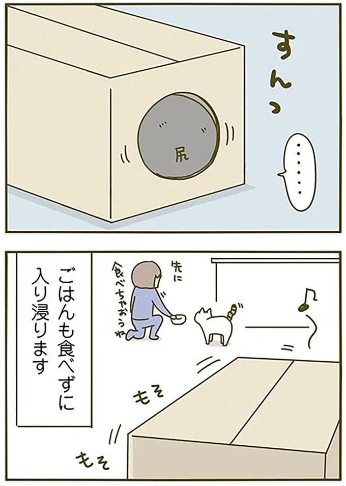 『うちの猫がまた変なことしてる。2』より