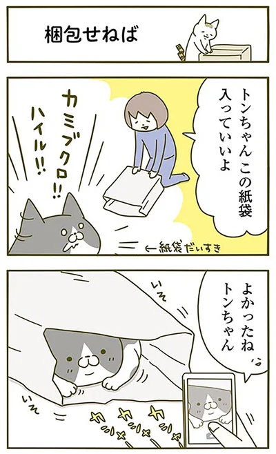 『うちの猫がまた変なことしてる。2』より