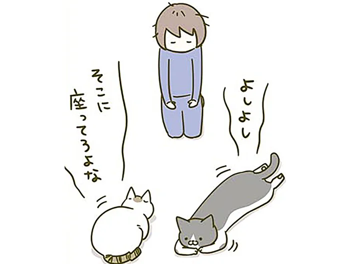 「そこに座ってろよな」目線が近いと安心するの？ 忙しいときに「構えアピール」する猫