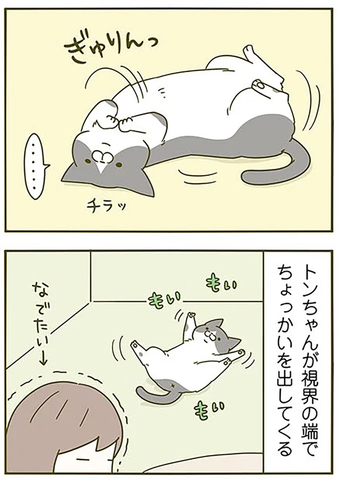 視界の端で…