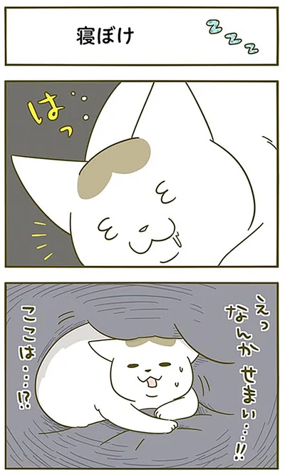 『うちの猫がまた変なことしてる。3』より