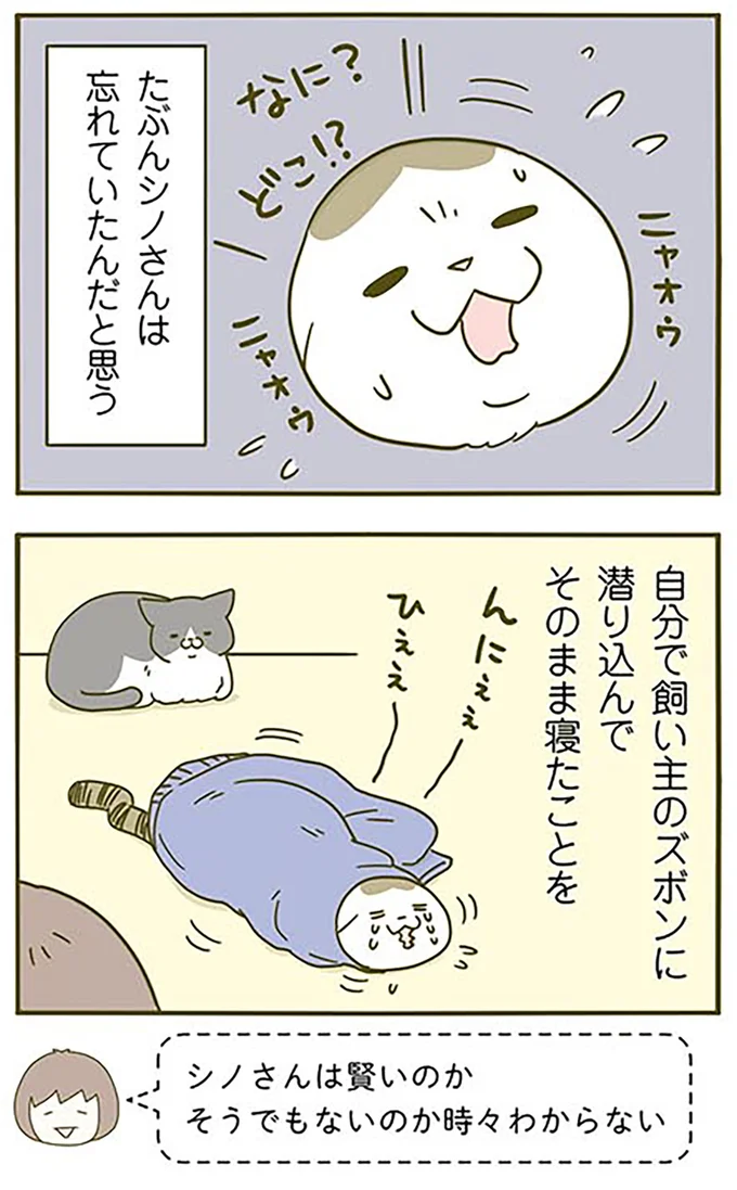 『うちの猫がまた変なことしてる。3』より