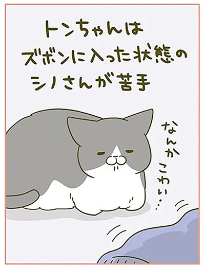 『うちの猫がまた変なことしてる。3』より