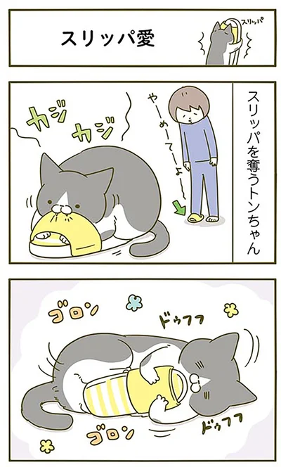 『うちの猫がまた変なことしてる。3』より