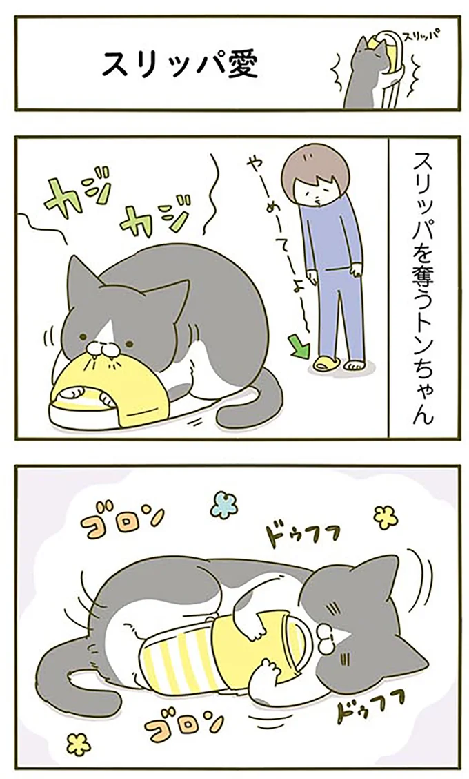 『うちの猫がまた変なことしてる。3』より
