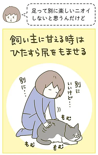 『うちの猫がまた変なことしてる。3』より