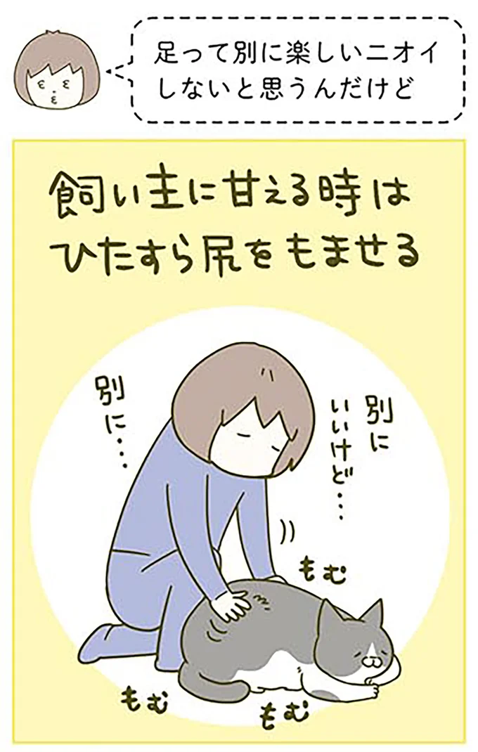 『うちの猫がまた変なことしてる。3』より