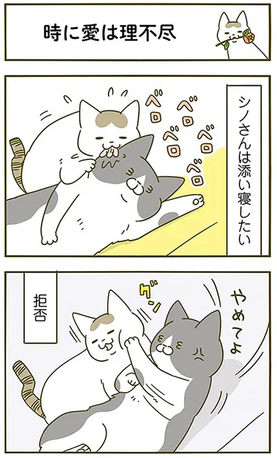 『うちの猫がまた変なことしてる。3』より