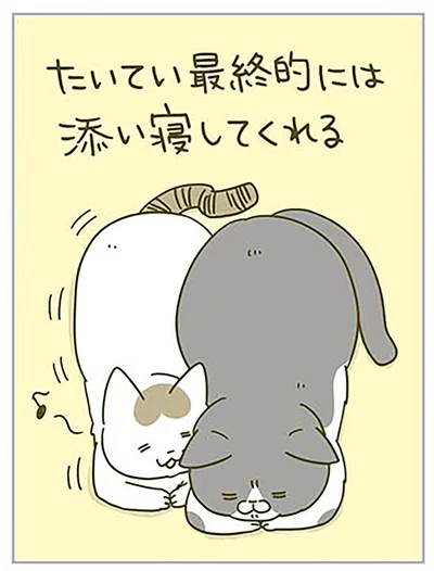 『うちの猫がまた変なことしてる。3』より