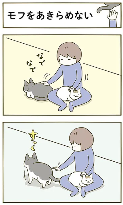 『うちの猫がまた変なことしてる。3』より