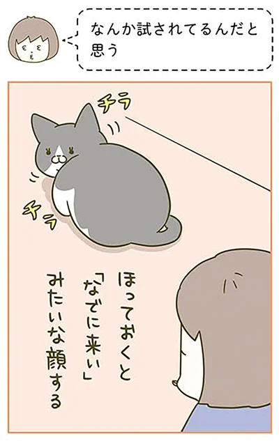 『うちの猫がまた変なことしてる。3』より