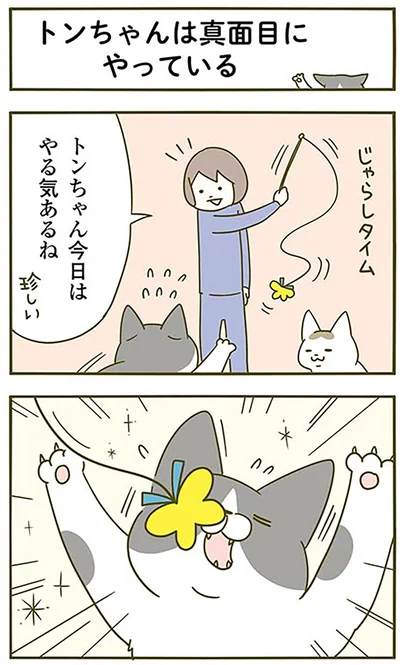 『うちの猫がまた変なことしてる。3』より