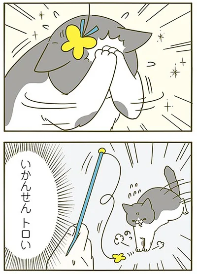 『うちの猫がまた変なことしてる。3』より