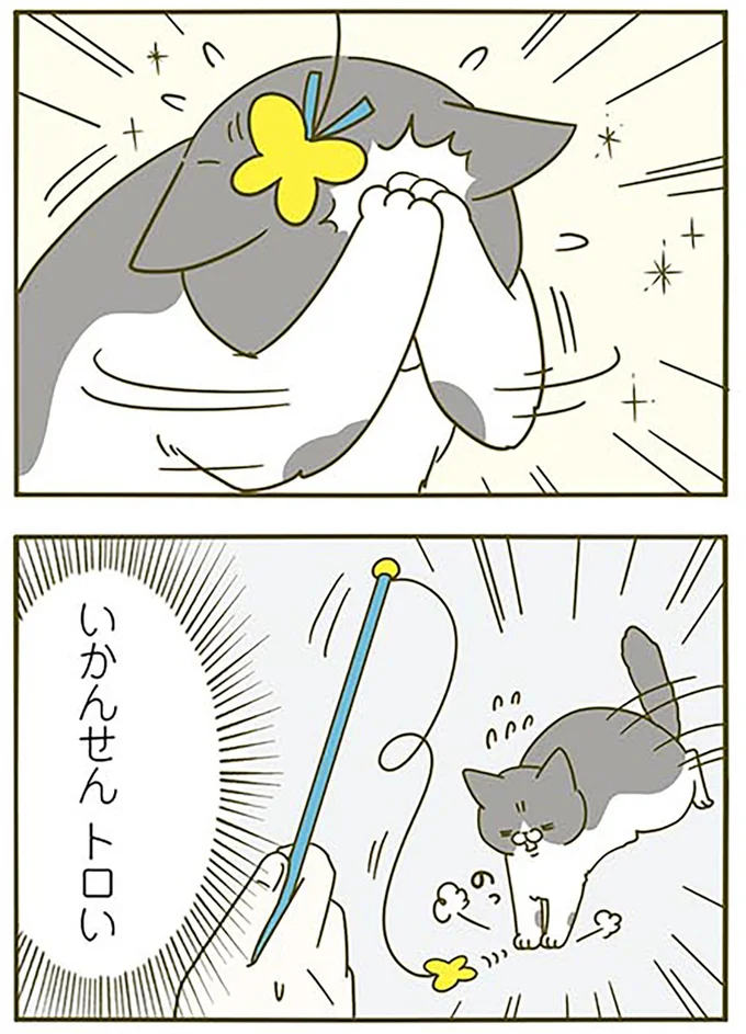 『うちの猫がまた変なことしてる。3』より