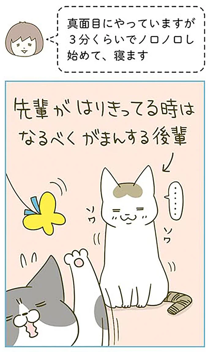 『うちの猫がまた変なことしてる。3』より