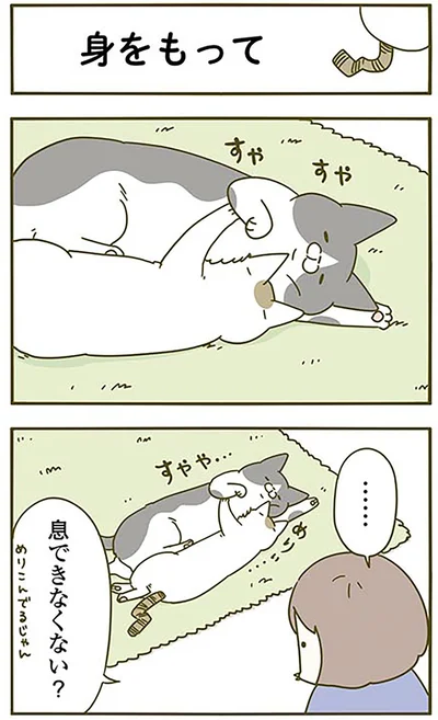 『うちの猫がまた変なことしてる。3』より