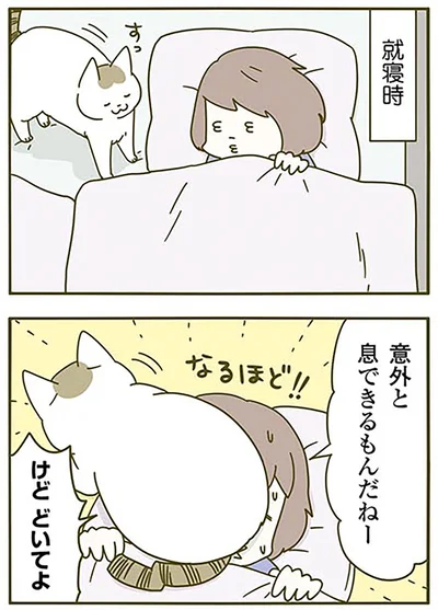 『うちの猫がまた変なことしてる。3』より