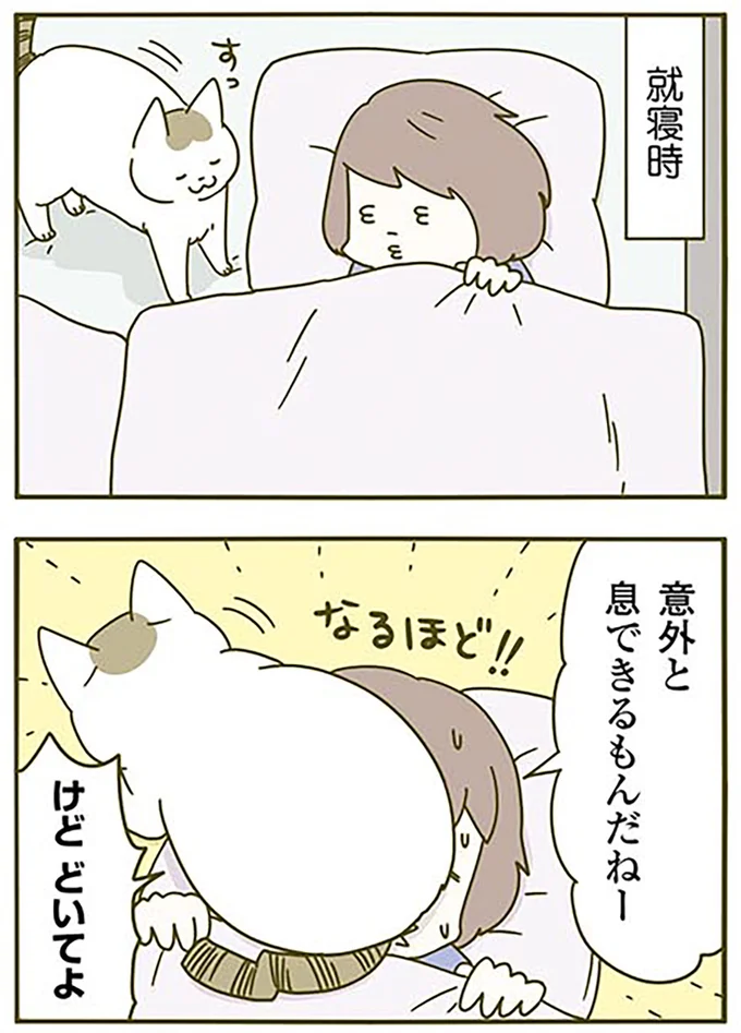 『うちの猫がまた変なことしてる。3』より