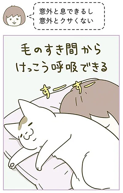 『うちの猫がまた変なことしてる。3』より