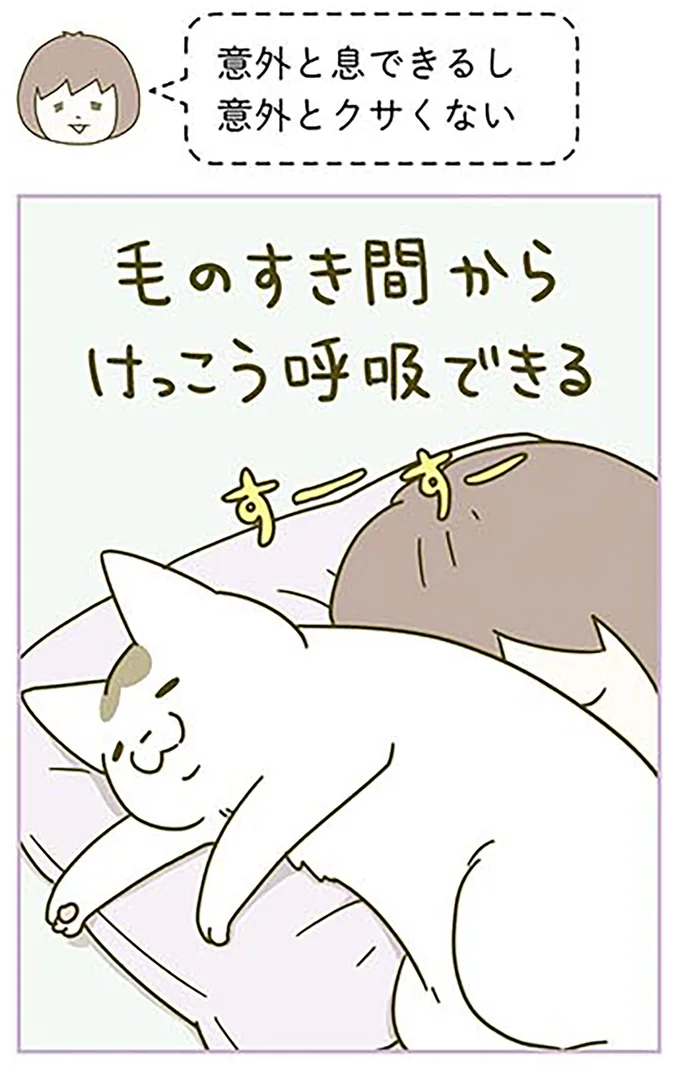 『うちの猫がまた変なことしてる。3』より