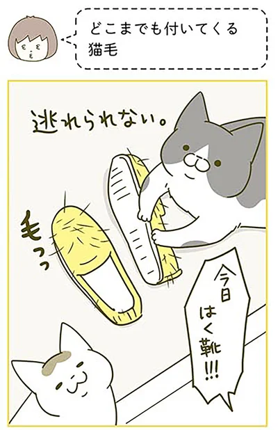 『うちの猫がまた変なことしてる。3』より
