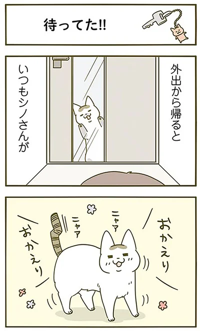 『うちの猫がまた変なことしてる。3』より