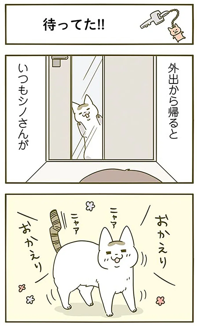 『うちの猫がまた変なことしてる。3』より
