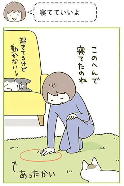 『うちの猫がまた変なことしてる。3』より