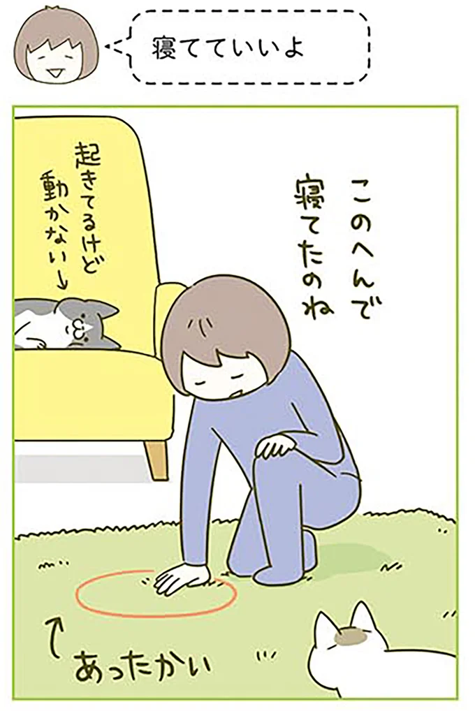 『うちの猫がまた変なことしてる。3』より