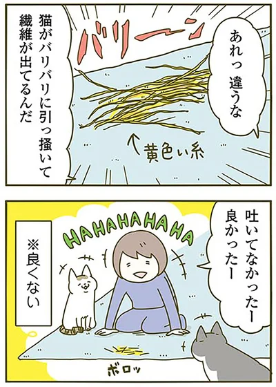 『うちの猫がまた変なことしてる。3』より