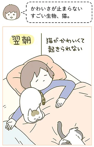 『うちの猫がまた変なことしてる。3』より