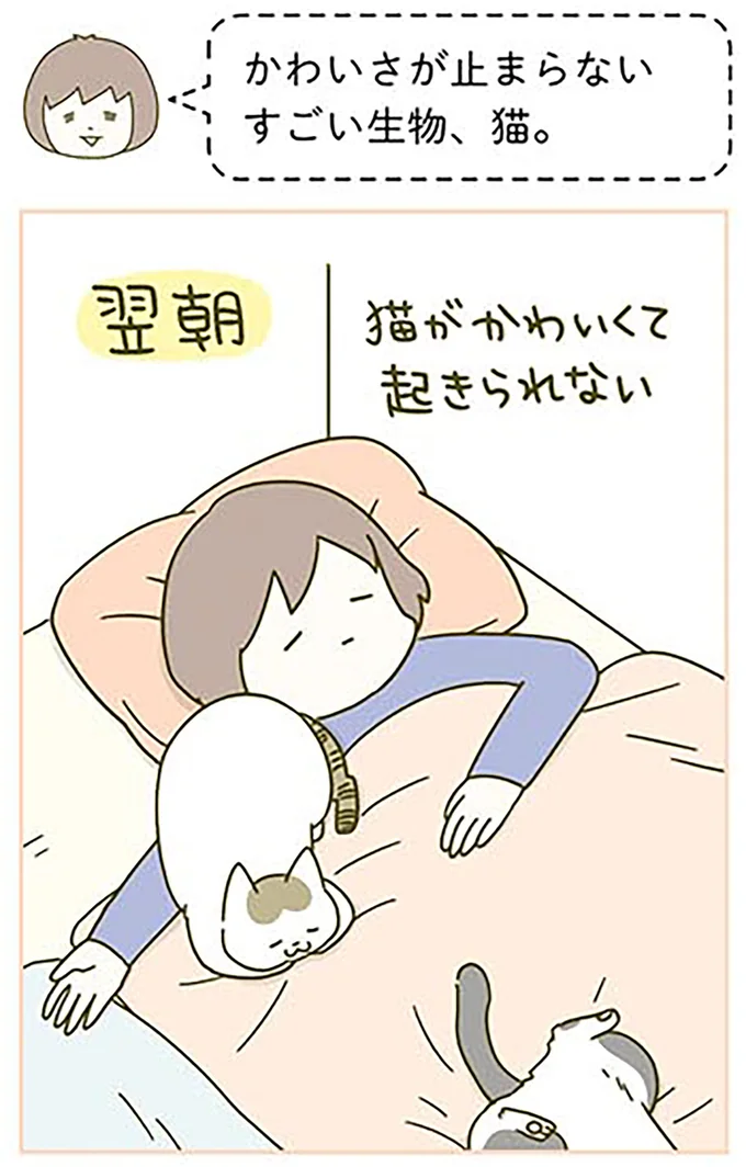 『うちの猫がまた変なことしてる。3』より