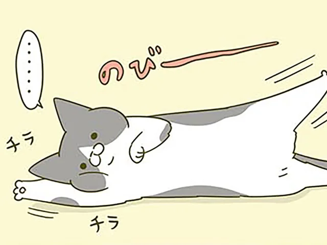 構えないときばっかり！ 動きながらチラチラ見てくる猫が愛らしい