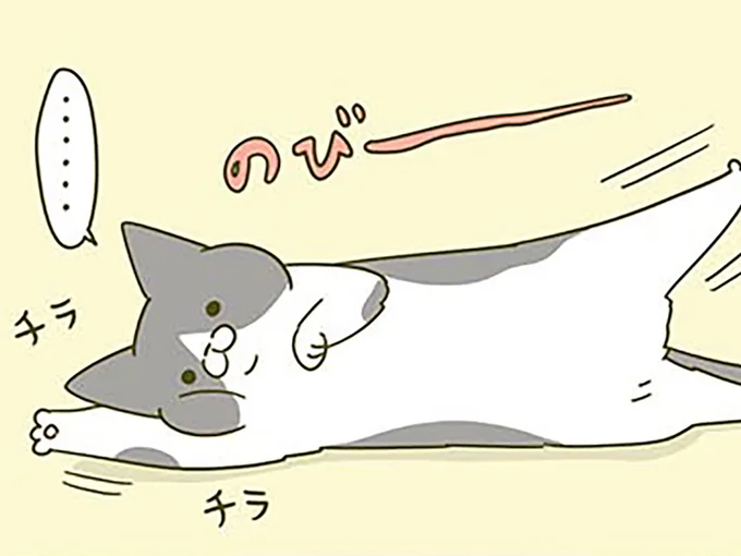 チラチラ…