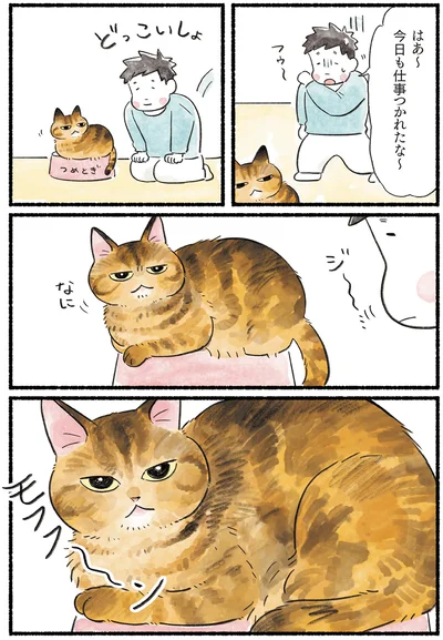 今日も仕事つかれたな～